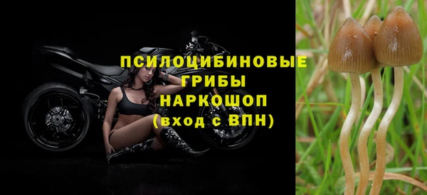 МДМА Бугульма