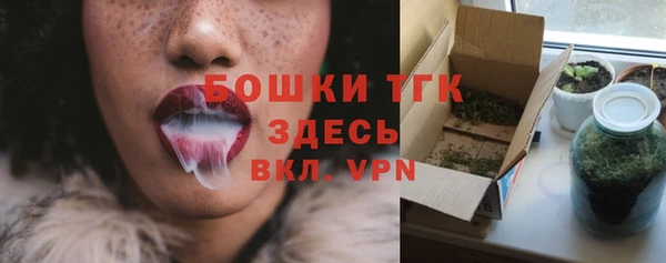 не бодяженный Бородино