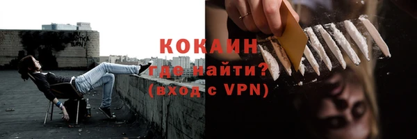 не бодяженный Бородино