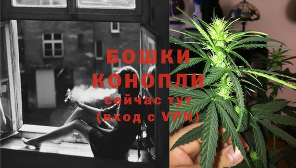 не бодяженный Бородино
