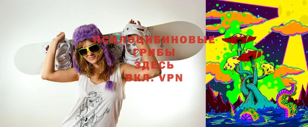 не бодяженный Бородино