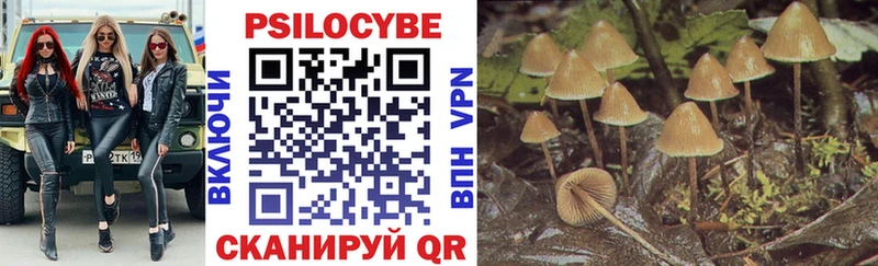 как найти наркотики  Иркутск  Галлюциногенные грибы Cubensis 
